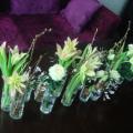 DSC01406.JPG